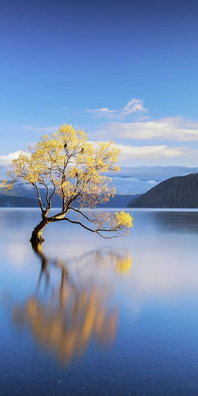 New+Zealand+Scenery, lake in new zealand HD wallpaper | Pxfuel