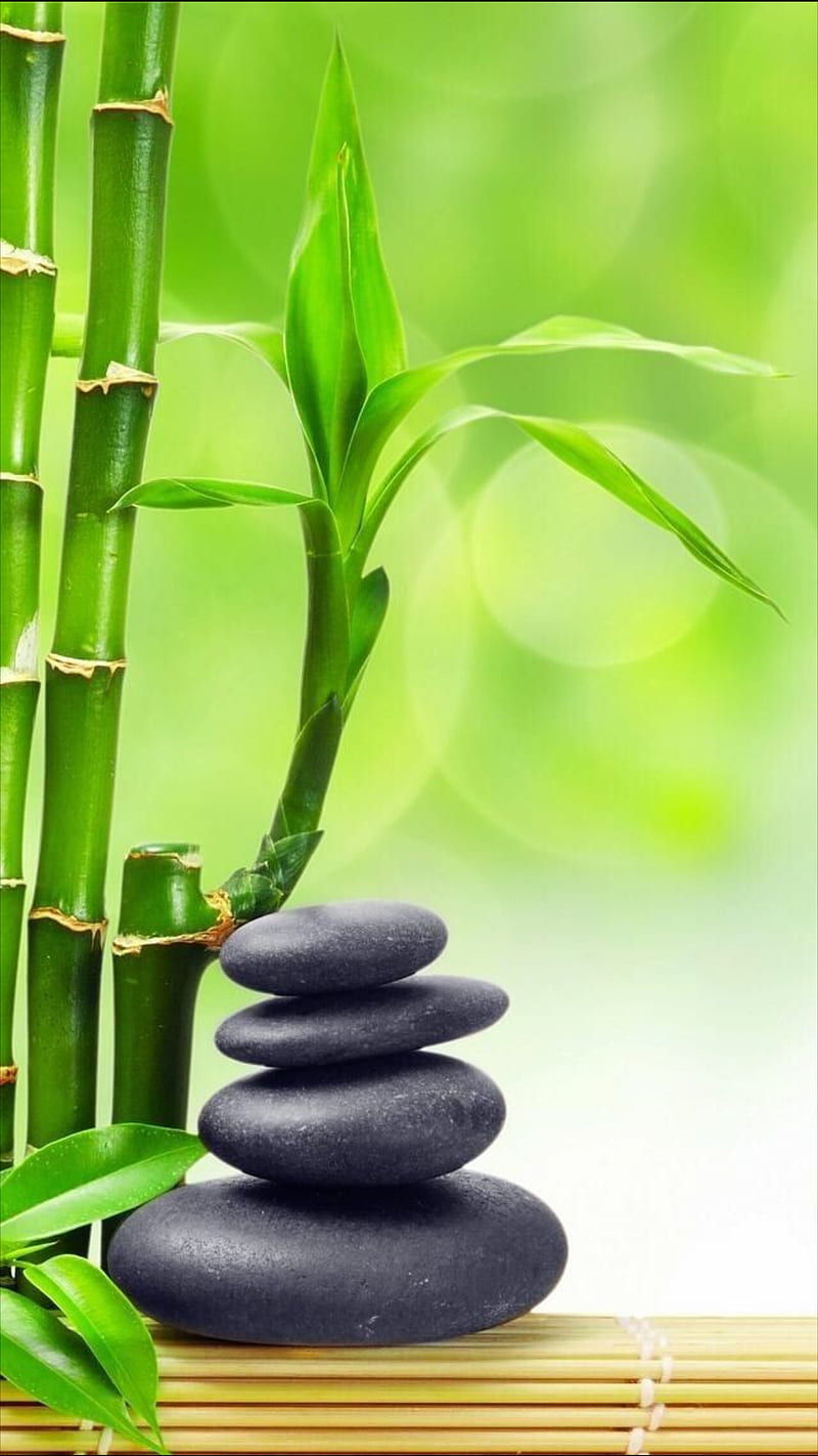 Wallpaper Zen Bamboo And Water