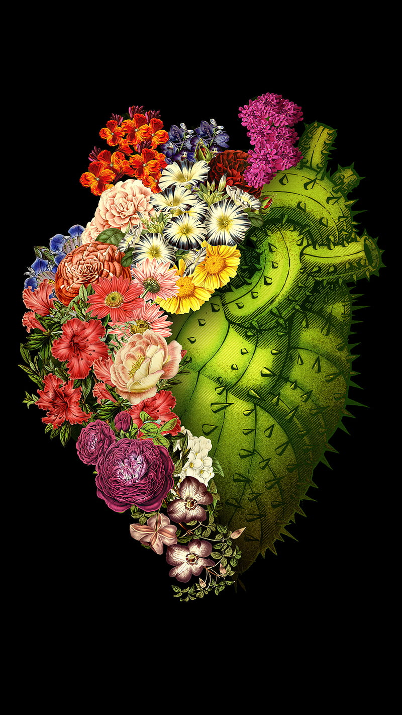 Healing Heart, Tobe, cactus, floral, flowers, love, nature, spring, HD phone wallpaper