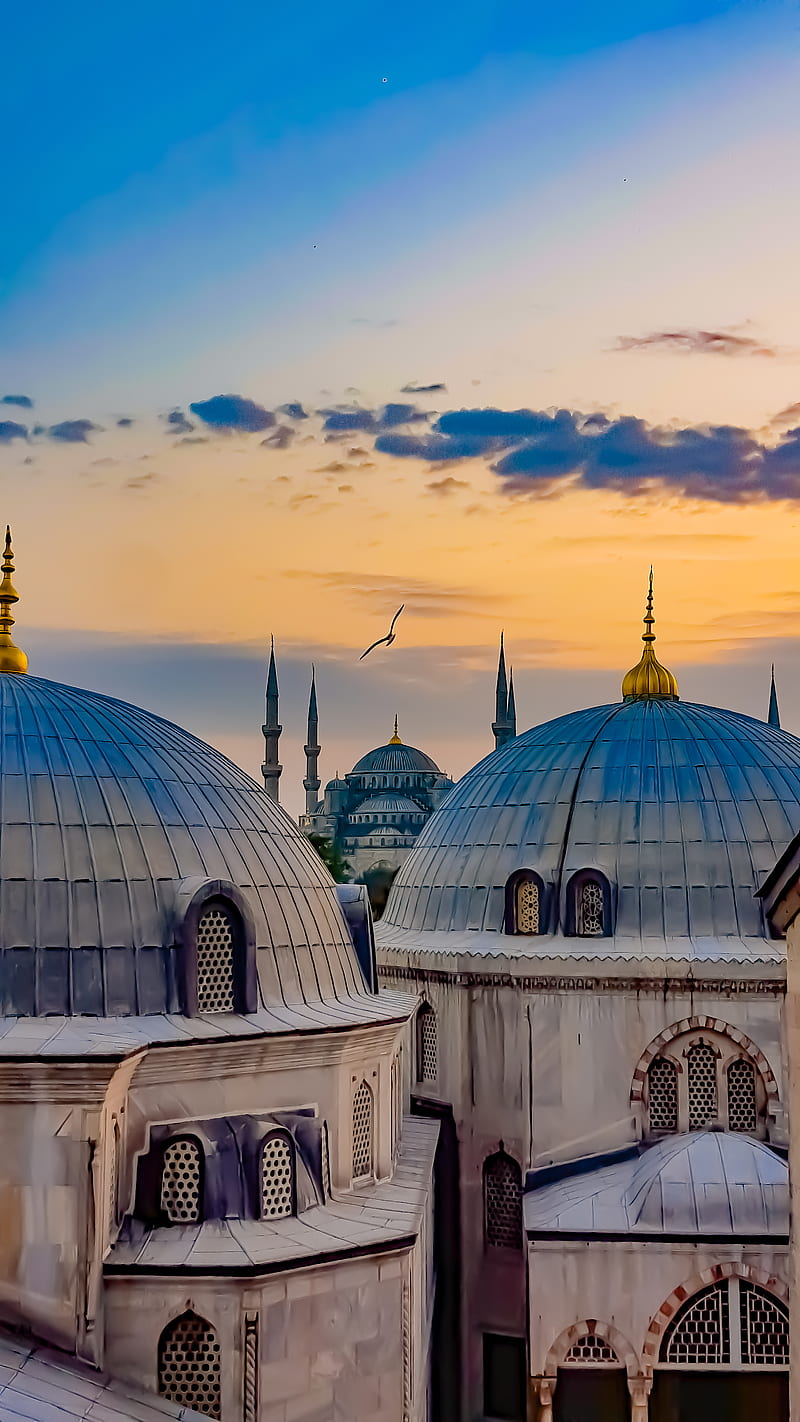 View of Hagia Sophia, ahmed, blue, islam, istanbul, mosque, muslim, sky, sultan, yellow, HD phone wallpaper