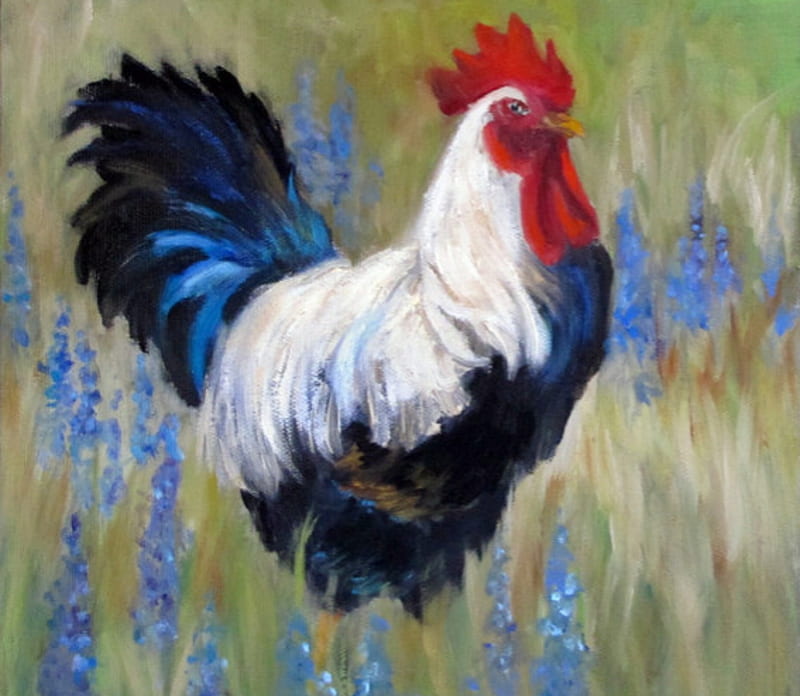 Proud Rooster, Red, Proud, White, Painting, Blue, Rooster, HD wallpaper