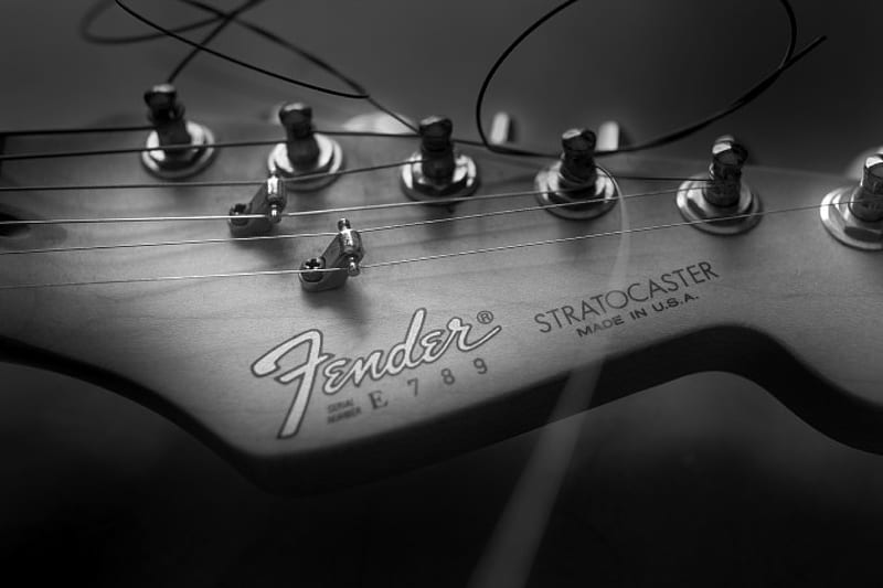 fender stratocaster, black and white, running, head, tunning, HD wallpaper