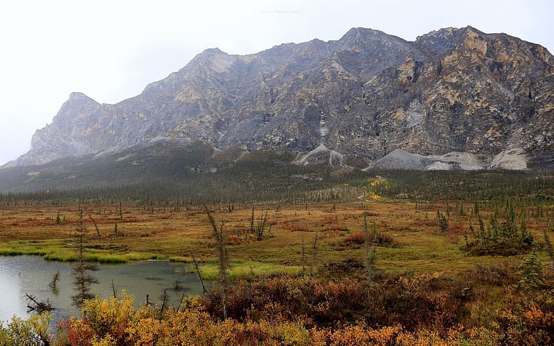 Sukakpak Mountain off the Dalton Highway, Alaska, landscape, trees, rocks, usa, autumn, HD wallpaper