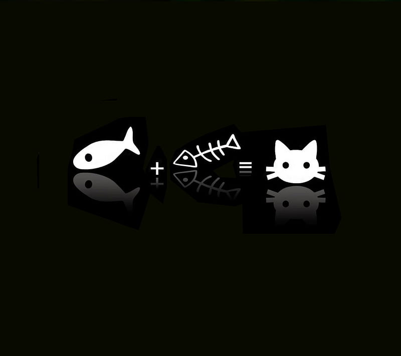 friends, cat, fish, love, HD wallpaper