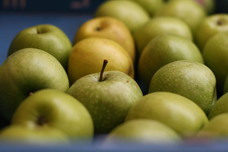apples, fruits, green, macro, HD wallpaper
