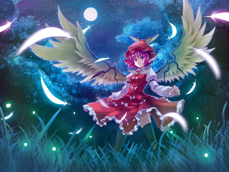Mystia Lorelei, grass, feather wings, sweet, feahter, moon, thighhigh, full moon, touhou, hot, beauty, anime girl, star, light, night, forest, female, wings, angel, smile, sky, sexy, fireflies, cool, headdress, nature, HD wallpaper