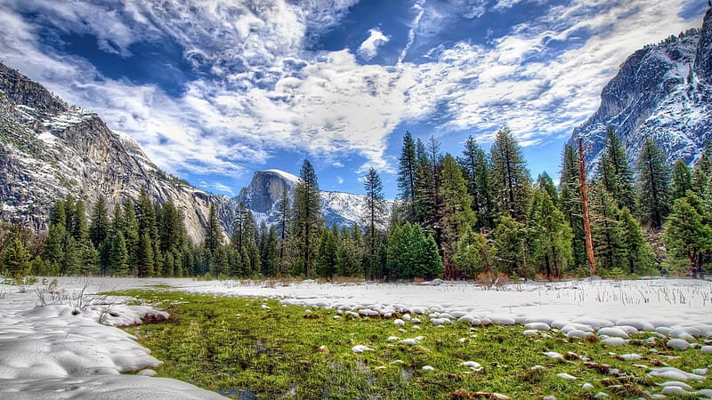 yosemite national park at end of winter r, snow, grass, mountains, r, park, trees, sky, HD wallpaper