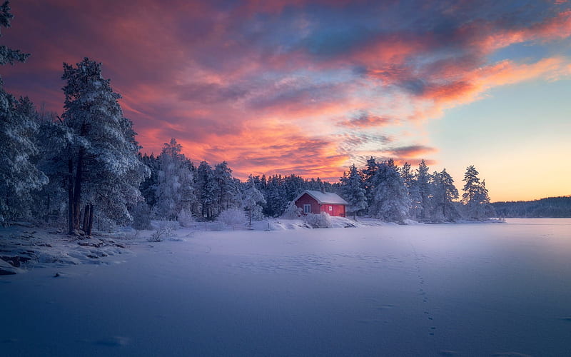 winter landscape, forest, snow, winter, sunset, Ringerike, Norway, HD wallpaper