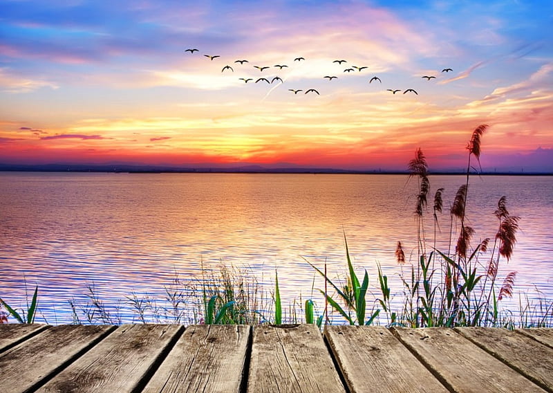 Sunset colors, pier, colors, birds, bonito, sunset, sky, lake, dock, summer, nature, river, reflection, HD wallpaper