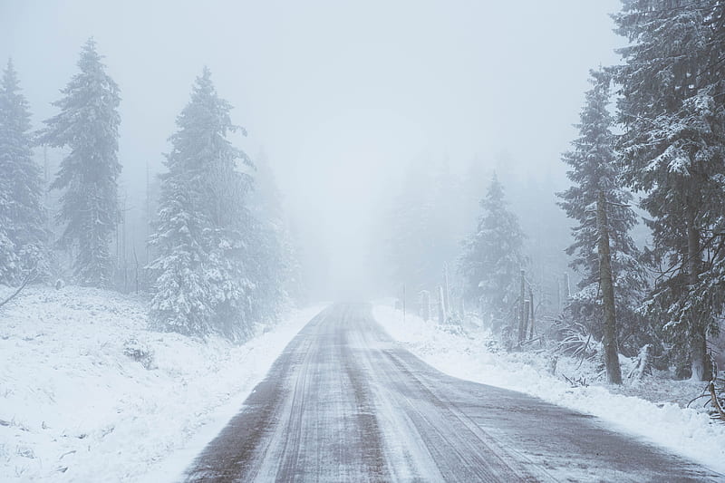 road, snow, blizzard, trees, winter, HD wallpaper
