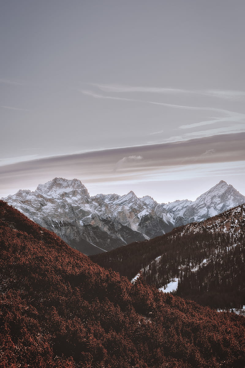 mountains, peaks, snowy, trees, sky, HD phone wallpaper