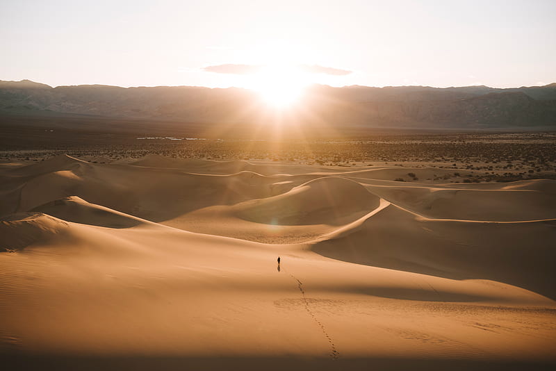 silhouette, desert, dunes, sand, rays, HD wallpaper