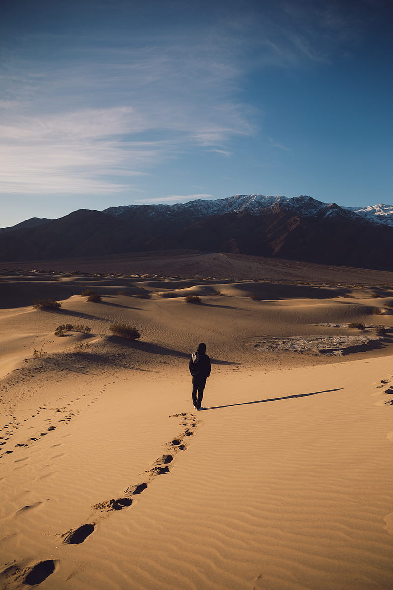 desert, loneliness, solitude, sand, traces, HD phone wallpaper