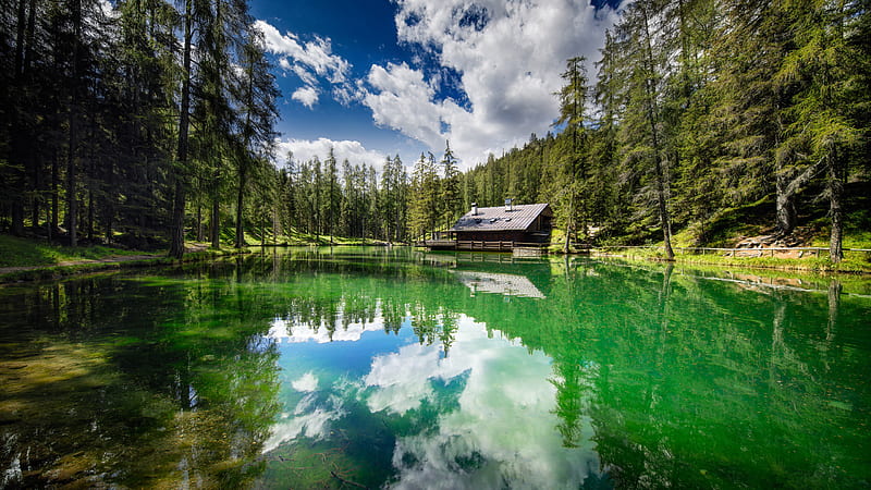 Forest House Around Green Trees With Reflection In Lake Under Cloudy Blue Sky During Daytime Nature, HD wallpaper