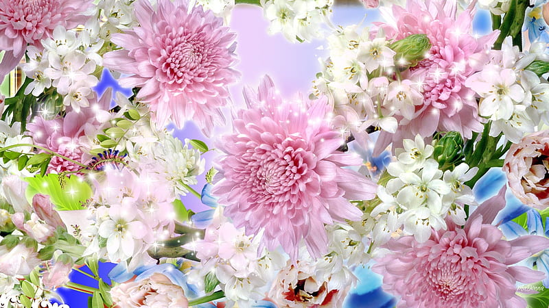 Delightful Dahlias, plumeria, spring, frangipani, dahlias, summer, flowers, garden, pink, Firefox Persona theme, HD wallpaper