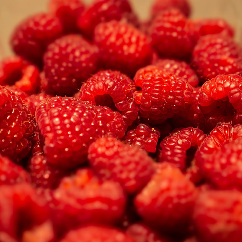 raspberries, berries, fruits, macro, HD phone wallpaper