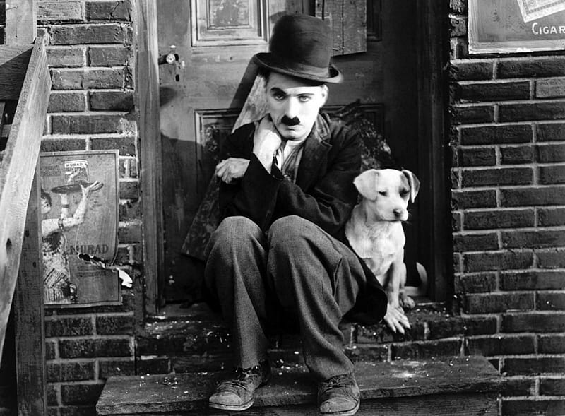 Chaplin, men, comedy, funny, actor, HD wallpaper