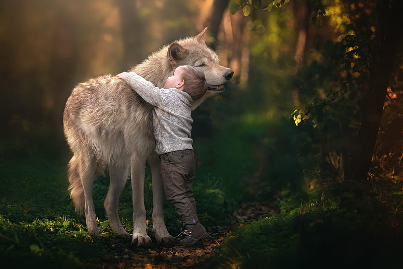 Hug, caine, animal, boy, love, copil, wolf, child, dog, HD wallpaper
