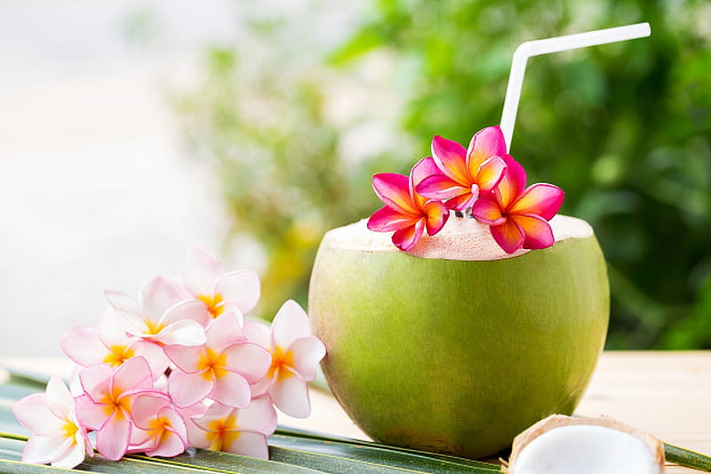 Coconut with plumeria, beach, Flowers, Referring, Coconut, HD wallpaper