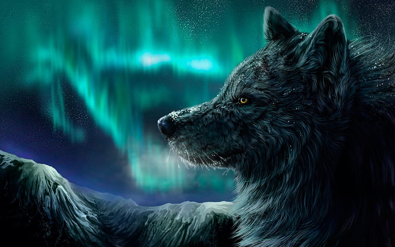 painted wolf, black wolf, HD wallpaper