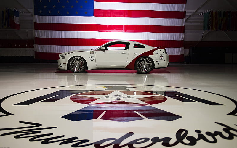 2014-US-Air-Force-Thunderbirds-Edition-Ford Mustang, White, Flag, Logo, Air Force, HD wallpaper