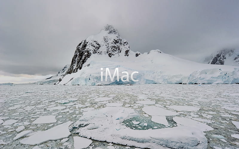 iMac , iMac, Ice, Frog, White, Apple, North Pole, HD wallpaper