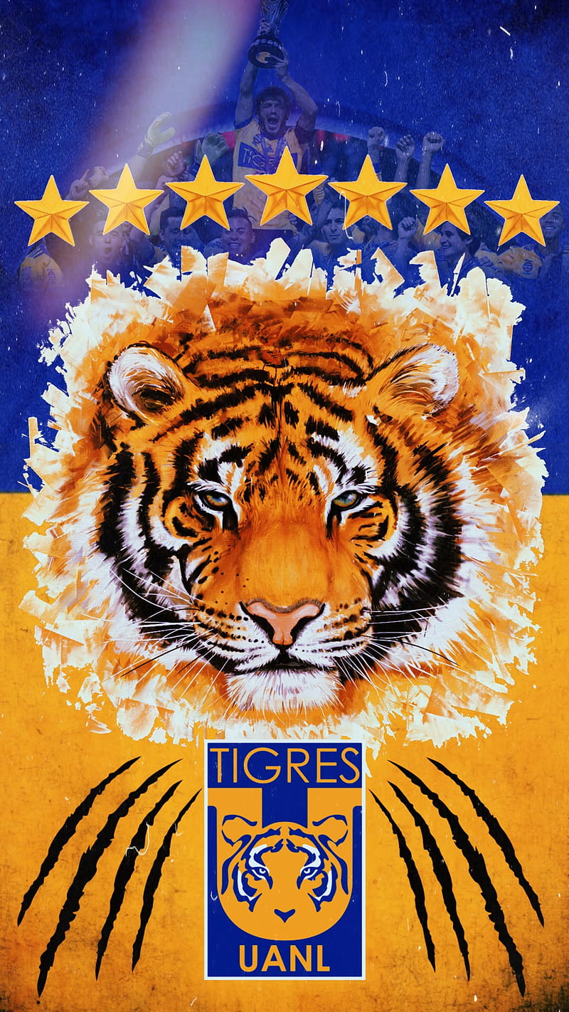 Tigres UANL, felinos, incomparables, libres y lokos, nuevo leon, tigres, HD  phone wallpaper | Peakpx