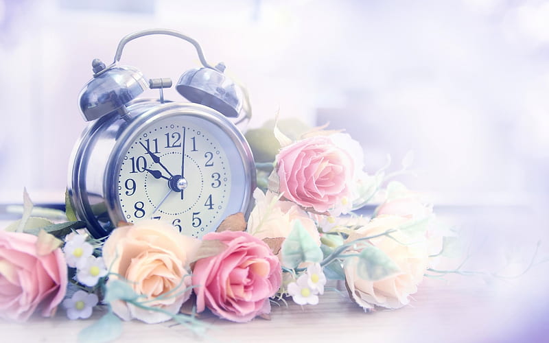 old alarm clock, time, roses, HD wallpaper