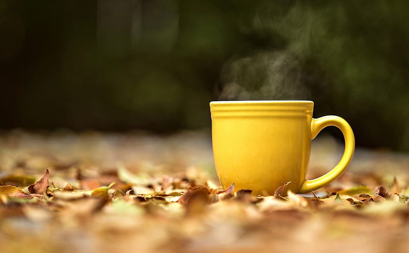 Hot Coffee, autumn, cup of coffee, autumn leaves, leaves, splendor, coffee, autumn splendor, coffee time, cup, HD wallpaper
