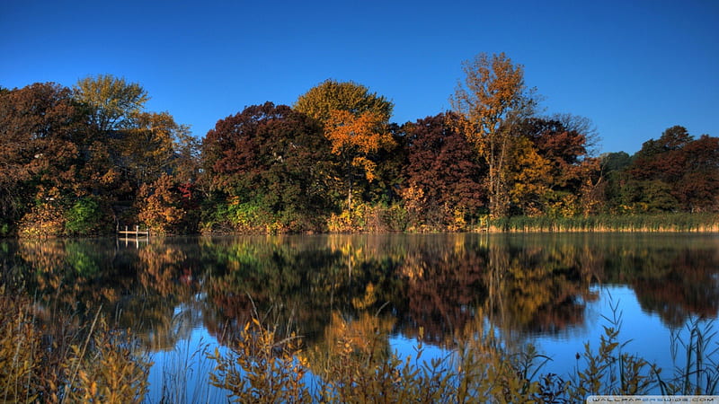 Autumn Pond Egan Minnesota, Autumn Pond, minnesota lake superior, minnesota, Egan Minnesota, HD wallpaper