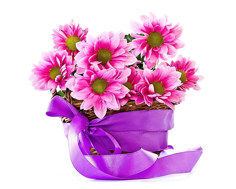With Love, flowers, love, pink, spring, tender, HD wallpaper