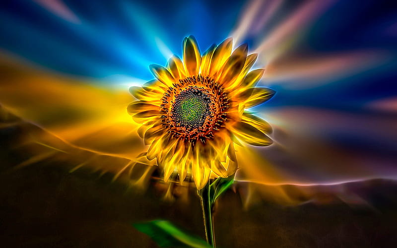 sunflower, neon lights, art, creative, HD wallpaper