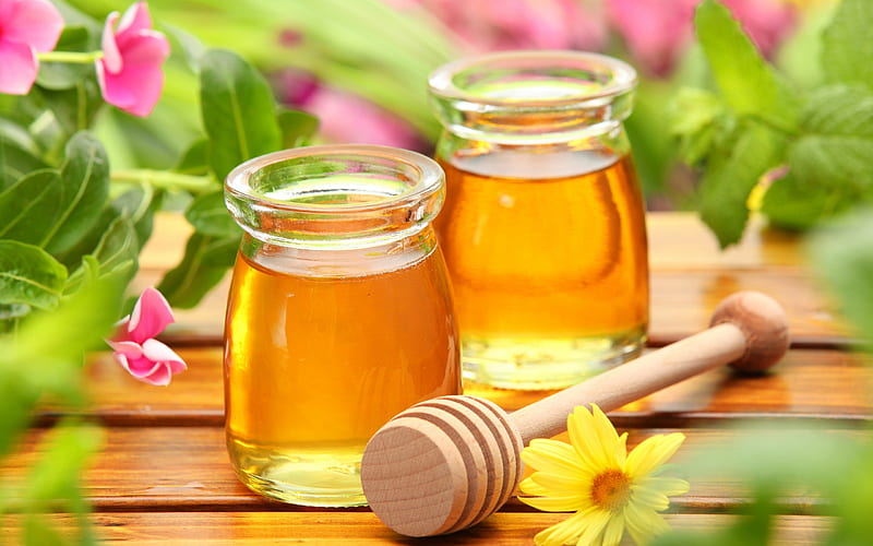 honey, harvest, glass jars, sweets, honey jars, HD wallpaper