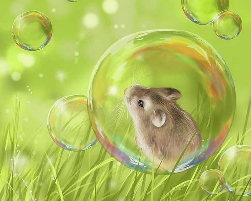 Soap Bubble, grass, colors, love four seasons, spring, paintings, green, bubbles, rat, nature, waterdrops, HD wallpaper