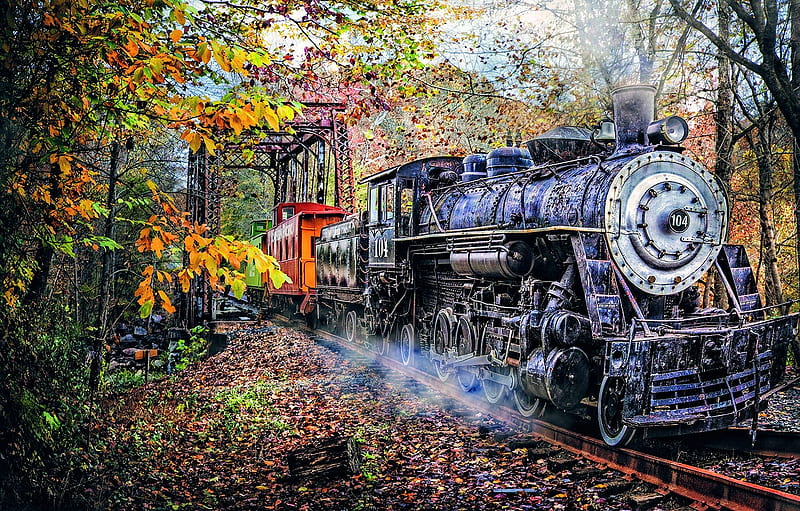 Train Coming, trees, locomotive, leaves, steam, railways, wagons, HD wallpaper