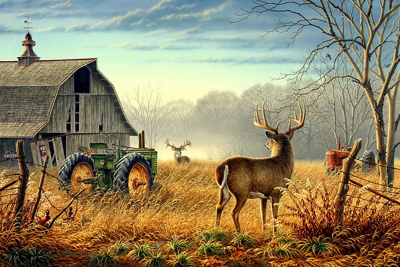 Competition, fence, tractor, birds, weathervane, trees, fog, deer, mist, barn, farm, bucks, pheasants, field, HD wallpaper