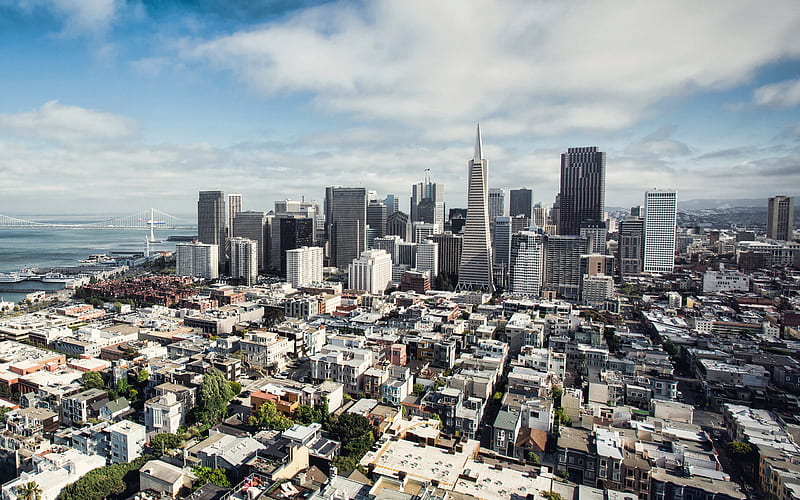 San Francisco, Transamerica Pyramid, 555 California Street, Salesforce Tower, 181 Fremont Street, skyscrapers, modern buildings, California, USA, HD wallpaper