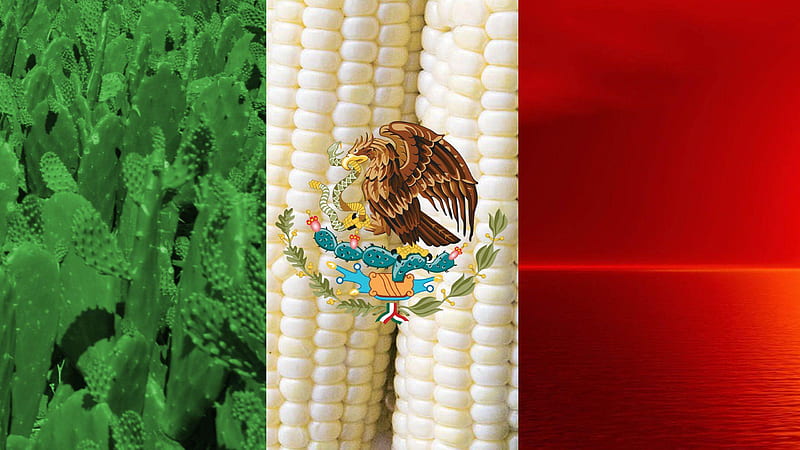 Mexican Flag 7 Mexican, HD wallpaper