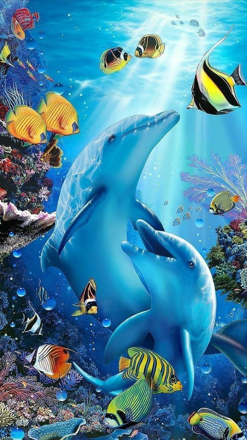 Dolphins, aquarium, dolphin, dory, fish, ocean, under ocean, water, HD  phone wallpaper | Peakpx