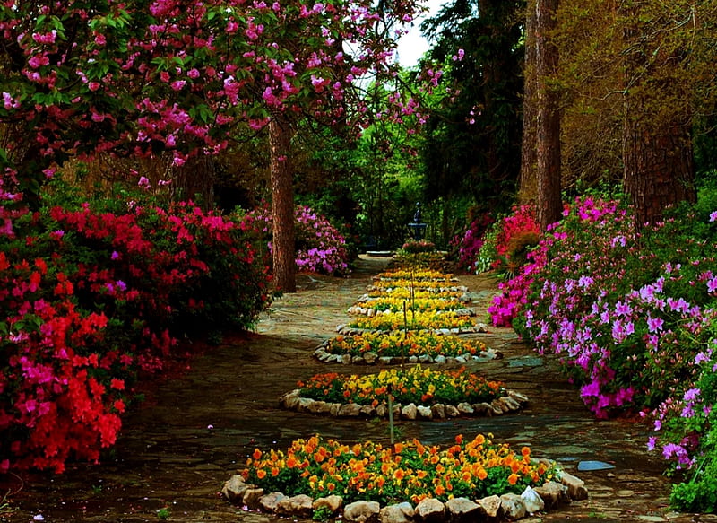 Beautiful Spring Flowers, bonito, Flowers, Spring, Nature, HD wallpaper |  Peakpx