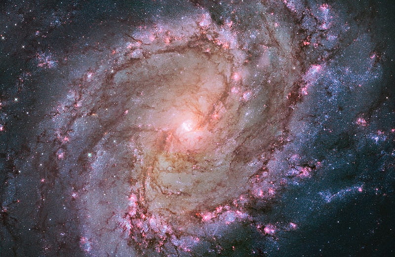 spiral galaxy M83, yellow, arms, pink, core, HD wallpaper