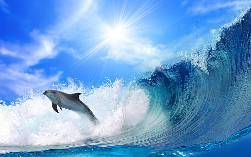 Playful Dolphin, oceans, sun, fish, sunny, playful, bonito, clouds, play, sea, animal, wave, sweet, turquoise, dolphins, beauty, animals, blue, lovely, ocean, sunlight, waves, sky, cute, water, dolphin, rays, peaceful, summer, sunshine, nature, HD wallpaper