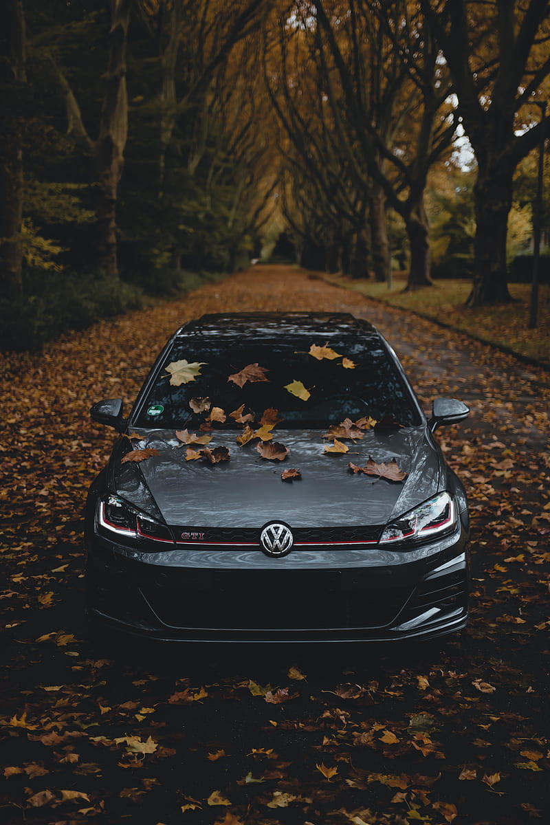 Vw Golf Gti, autumn, car, carros, gri, herbst, orange, vibes, HD phone  wallpaper | Peakpx