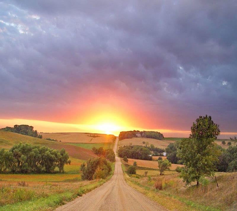 Golden Sunset, country road, landscape, nature, HD wallpaper