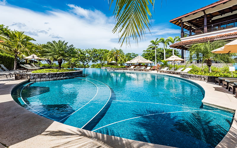 resort, pool, palm trees, summer trip, tropical islands, Nicoya Peninsula, Tamarindo, Hacienda Pinilla, Costa Rica, HD wallpaper