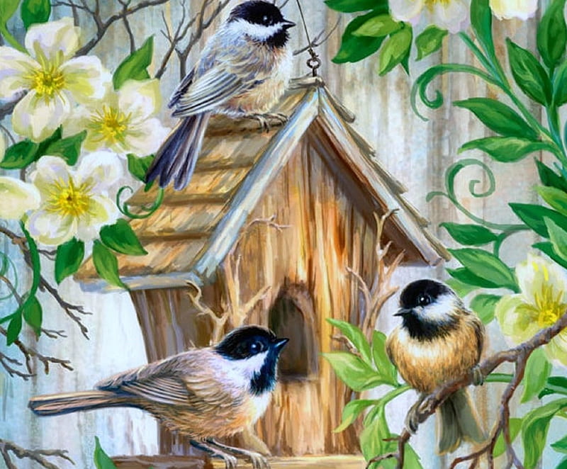 Love Laughter Song, colors, love four seasons, birds, spring, birdhouses, paintings, summer, flowers, animals, HD wallpaper