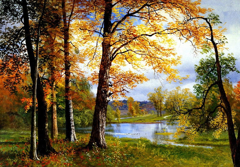 A quiet lake, autumn, shore, grass, bonito, solent, leaves, nice, calm ...