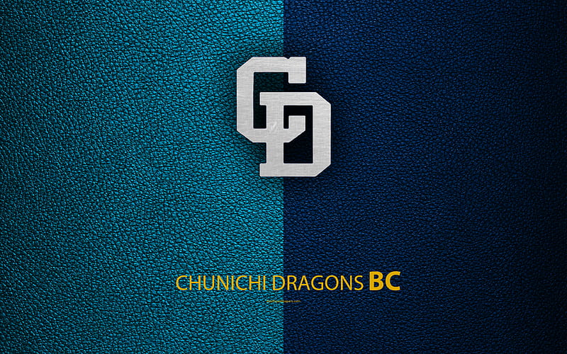Chunichi Dragons Japanese baseball club, logo, leather texture, Nagoya, Aichi, japan, Nippon Professional Washoowall, baseball, HD wallpaper