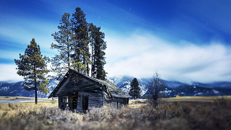 deserted homestead in focus, deserted, mountains, focus, cabin, trees, HD wallpaper