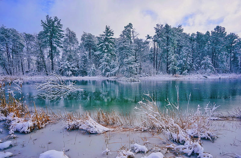 Snowy lake, forest, bonito, trees, lake, winter, snow, ice, reflection, frozen, landscape, frost, HD wallpaper